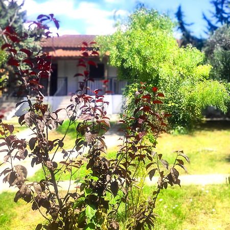Vergia Studios Sozopoli Bagian luar foto