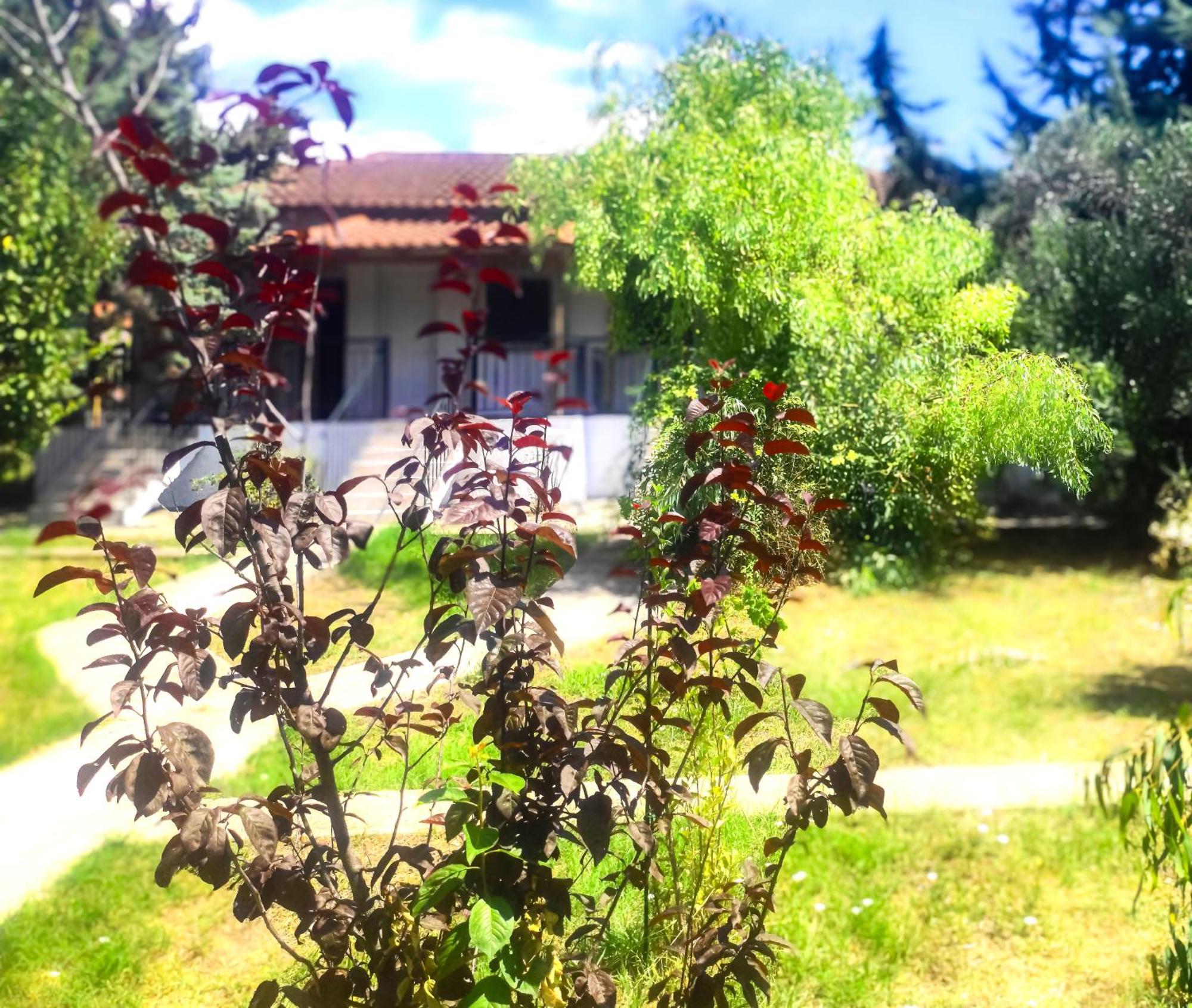 Vergia Studios Sozopoli Bagian luar foto